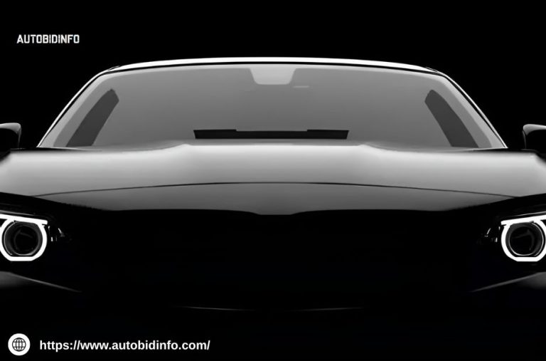 Usa Vehicle Export Services | Autobidinfo.com