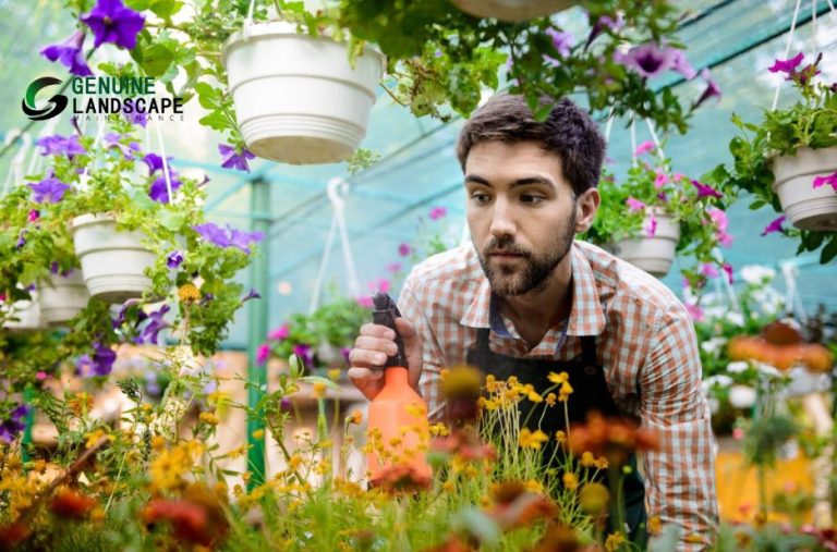 Trusted Sydney Landscape Experts for Lasting Outdoor Beauty