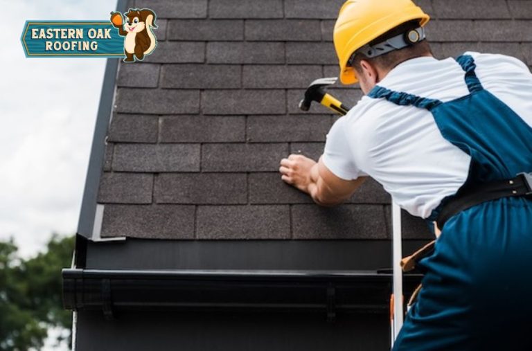 Restore Your Home’s Shield: Expert Roof Renewal Solutions
