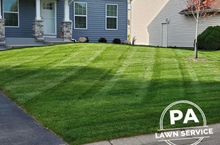 Expert Irrigation Services in Blaine for a Thriving Lawn