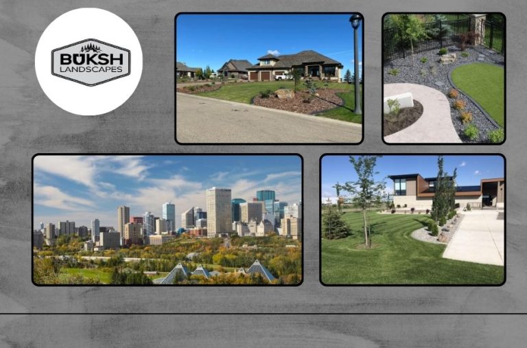 Artificial Grass Installation Edmonton – Expert Lawn Solutions for a Beautiful, Low-Maintenance Yard