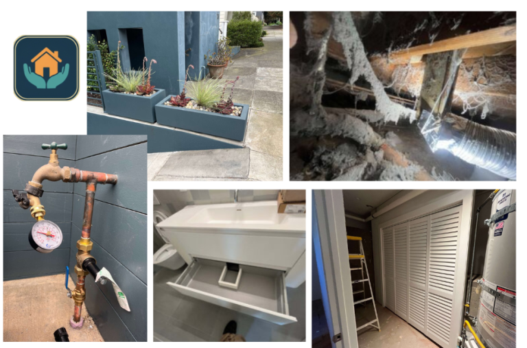 Professional Bathroom Renovation Hayward CA Services for Modern Upgrades