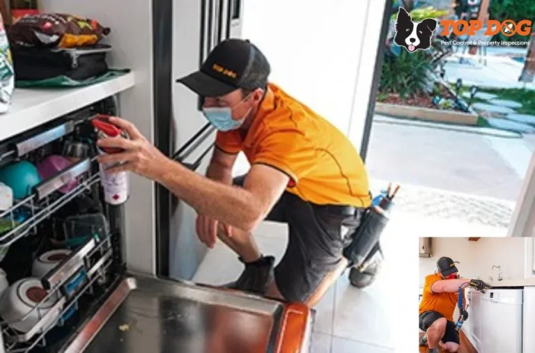 Gold Coast Termite Protection Services – Expert Solutions to Safeguard Your Home Gold Coast Termite Protection Services – Expert Solutions to Safeguard Your Home
