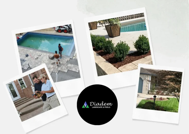 Expert Backyard Pool Construction Service for Stunning Outdoor Spaces
