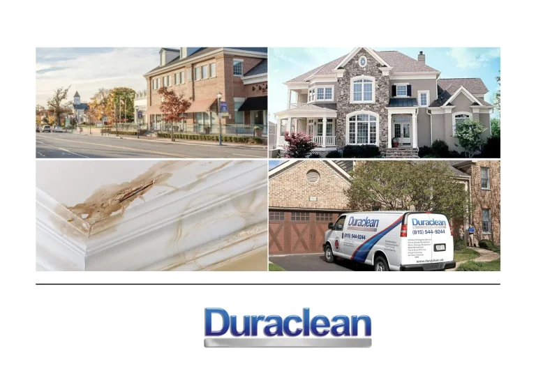 Expert Carpet Cleaning Belvidere Services for a Cleaner, Healthier Home