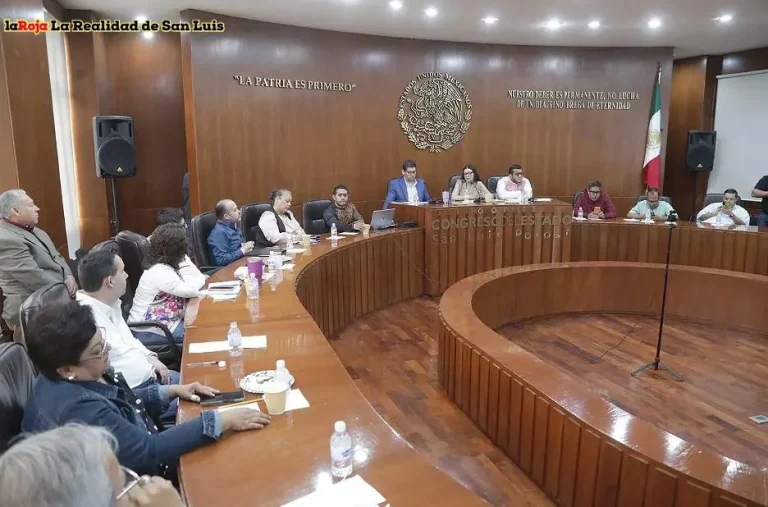 Últimas Noticias SLP: Información Actualizada y Cobertura Completa 24/7 Últimas Noticias SLP: Información Actualizada y Cobertura Completa 24/7