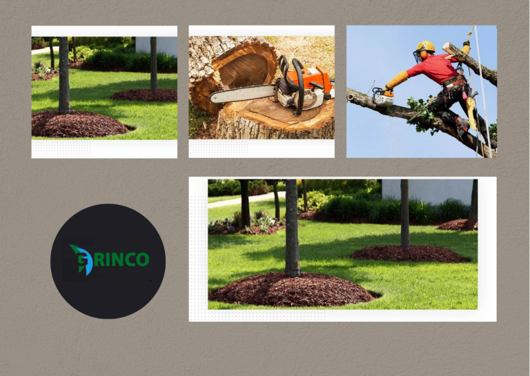 Tree Root Removal for Safe Groundworks by Grinco Tree Services