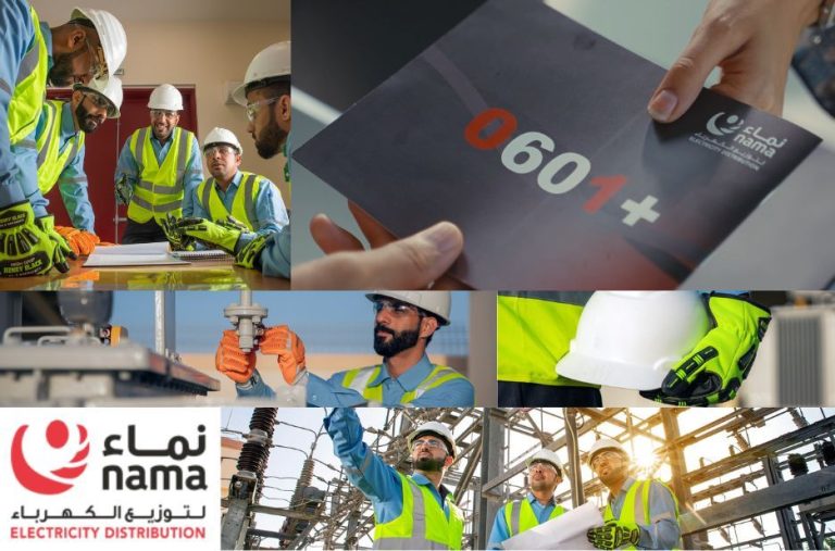كيفية دفع فاتورة الكهرباء عبر الإنترنت بأمان من nama